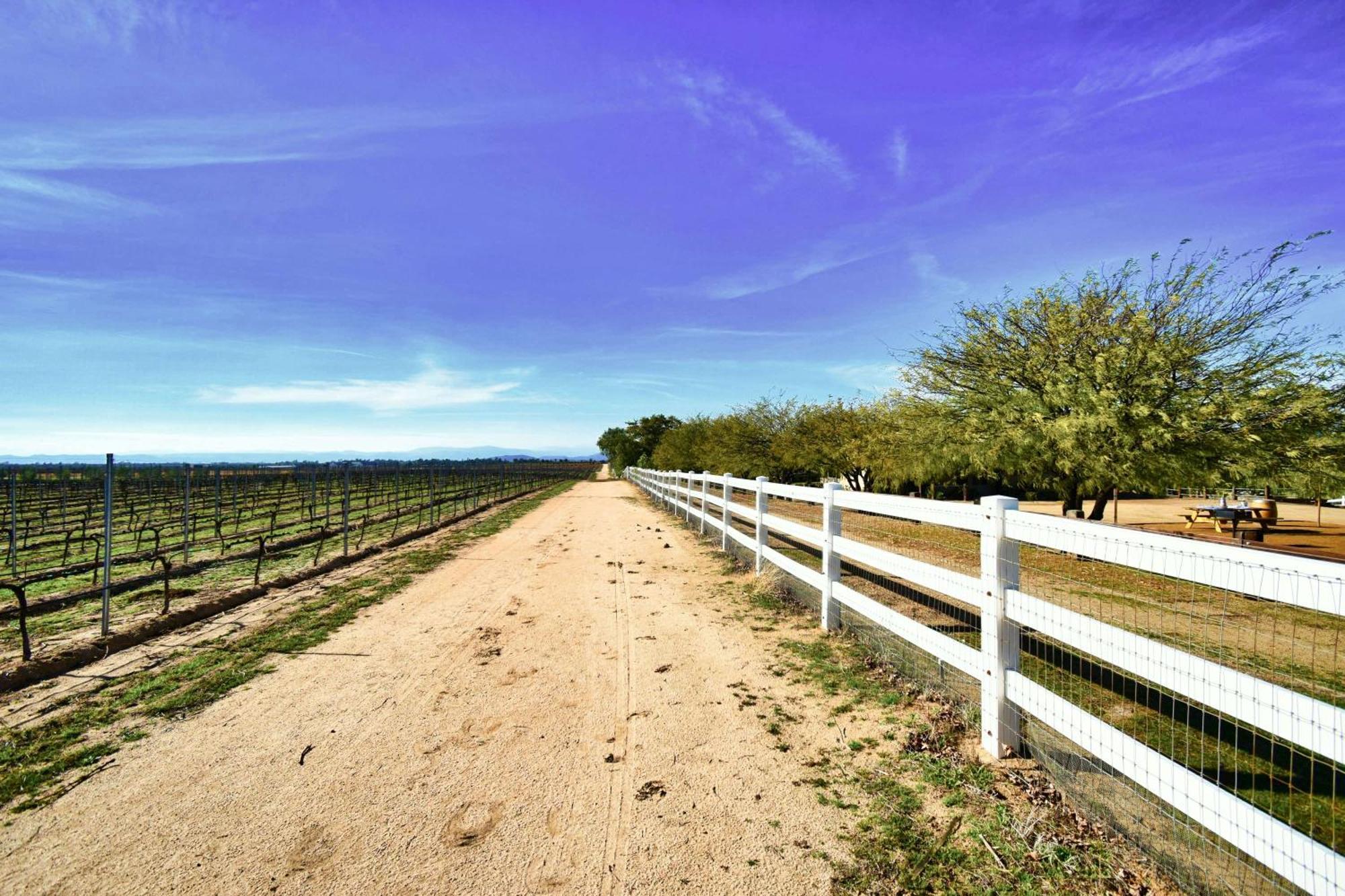 Hotel Peppertree Lane Ranch -- Seven-Acre Ranch In The Heart Of Wine Country Temecula Esterno foto